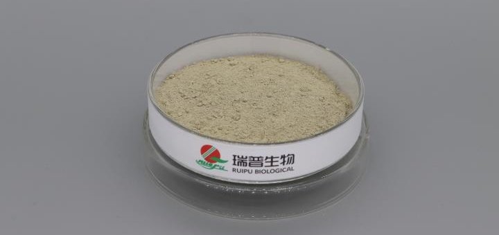 Ferrous Gluconate