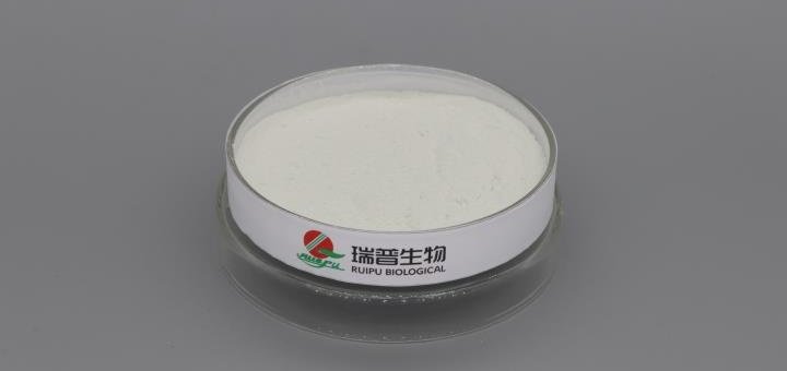 Ferrous Lactate