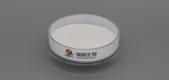Magnesium Lactate