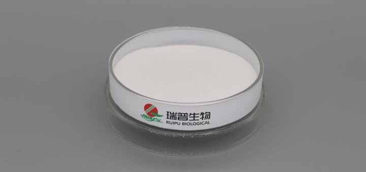 Magnesium Citrate