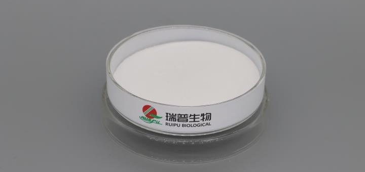 Sodium Malate