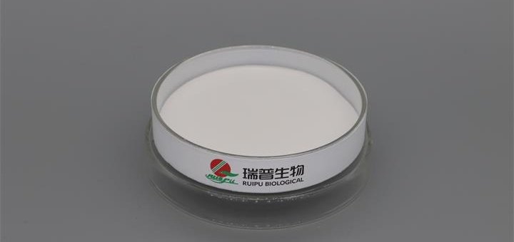 Zinc Lactate